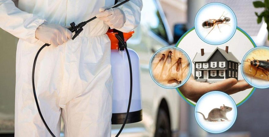 Karapınar Böcek İlaçlama