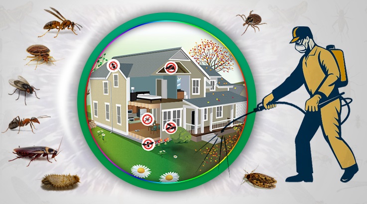 Karapınar Böcek İlaçlama