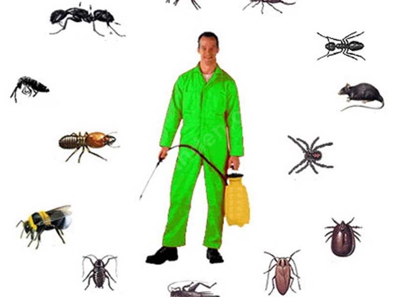 Karapınar Böcek İlaçlama